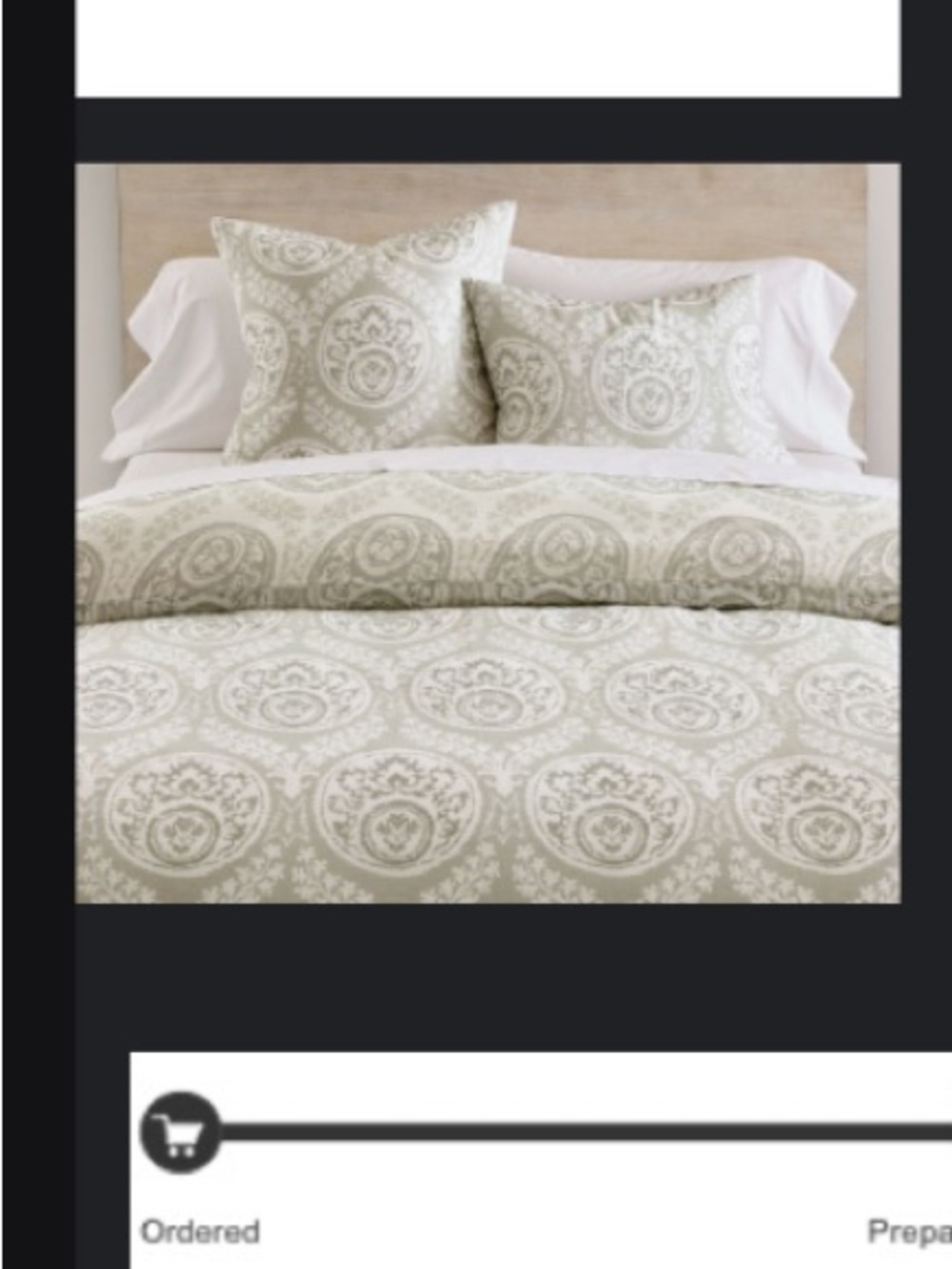 Pottery Barn Lena Medallion Print Duvet Cover in Sage Green full/queen